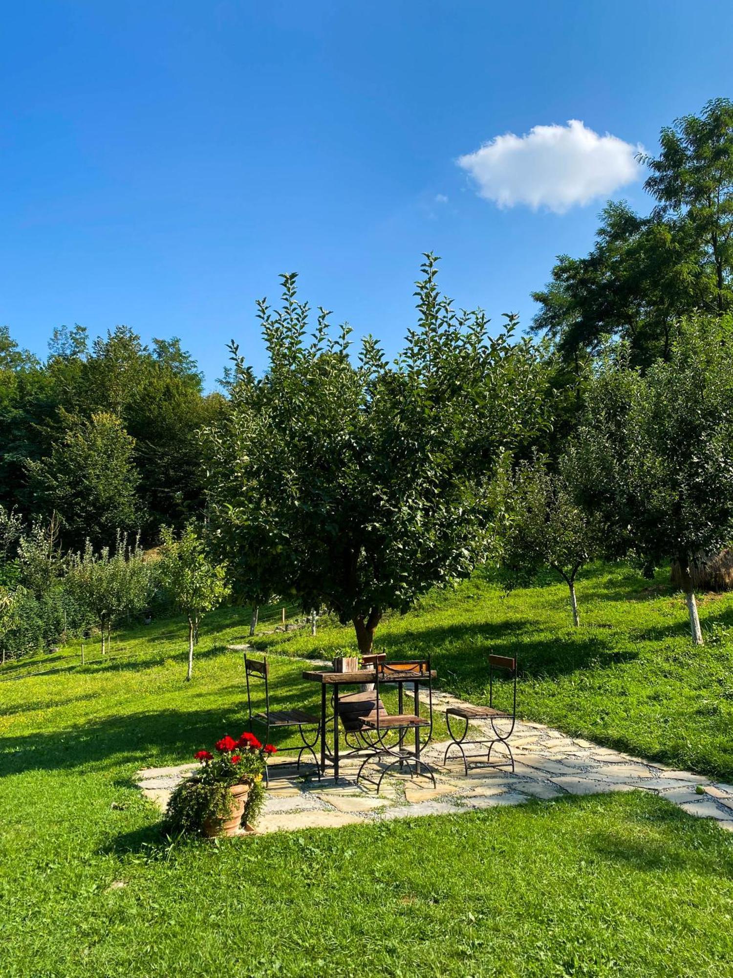 Вилла Cabana La Domnu' De Pe Vale Аюд Экстерьер фото