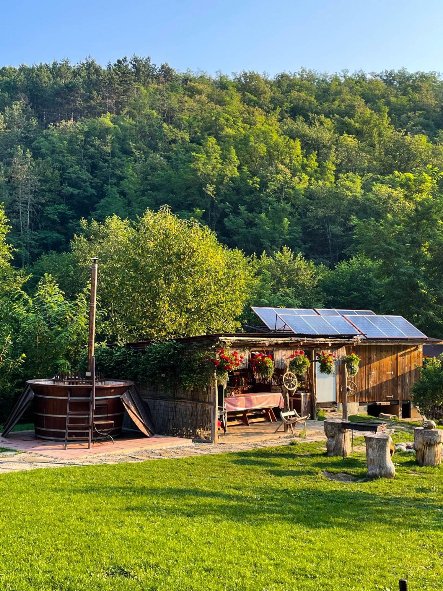 Вилла Cabana La Domnu' De Pe Vale Аюд Экстерьер фото